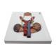 Nasco MG31104 Urinary System Section Model - Low Angle Superior View