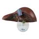 Nasco MG31105 Liver Section with Gallbladder Model, 1.5x Enlarged - Top View