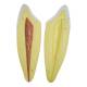 Nasco MG31151 Teeth Models, 10x Enlarged, 5 Parts - Internal Part Angle 1