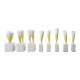 Nasco MG31152 Teeth Models, 4x Enlarged, 16 Parts - Angle 1