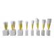 Nasco MG31152 Teeth Models, 4x Enlarged, 16 Parts - Angle 3