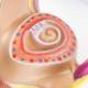 Nasco MG31154 Pregnancy Series Models - 1-Month-Old