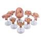 Nasco MG31154 Pregnancy Series Models