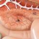 Nasco MG31317 Digestive System Model, 3 Parts - Angle 2 Close-up