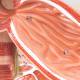 Nasco MG31317 Digestive System Model, 3 Parts - Angle 5 Close-up