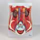 Nasco MG31345 Dual-Sex Urinary System Model, 6 Parts - Female Urinary System