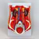Nasco MG31345 Dual-Sex Urinary System Model, 6 Parts - Male Urinary System