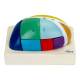 Nasco MG31535 Thalamus Model, 5x Enlarged, 7 Parts - Angle 1