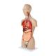 Nasco MG32003 Deluxe Dual-Sex Torso with Opened Neck and Back Model, 27-Part, Left Angle View