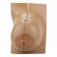 Nasco MG34670 Female Lactating and Non-Lactating Breast Models - Front View Lactating Breast