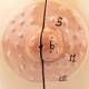 Nasco MG34670 Female Lactating and Non-Lactating Breast Models - Nipple Close-Up