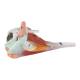 Nasco MG34921 Neck and Head Musculature Model, 10 Parts - Angle 5