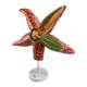 Nasco MG34923 Sea Star Anatomy Model, 4x Enlarged - Angle 2