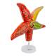 Nasco MG34923 Sea Star Anatomy Model, 4x Enlarged - Angle 5