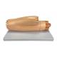 Nasco MG34954 Micro-Anatomy Cardiac Muscle Fiber Model, Enlarged - Back View