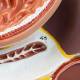 Nasco MG35391 Digestive System Model, 2 Parts - Angle 7 Close-up