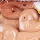 Nasco MG35391 Digestive System Model, 2 Parts - Angle 8 Close-up