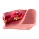 Nasco MG35593 Feline Jaw with Pathology Model - Angle 3