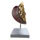 Nasco MG36148 Liver Section with Pathology Model - Left Side