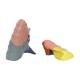 Nasco MG36904 Thoracic Cavity Model, 16-Part, Lung Segments