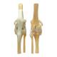 Nasco MG38400 Canine Osteoarthritis Knee Model - Angle 2
