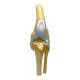 Nasco MG38400 Canine Osteoarthritis Knee Model - Angle 4