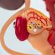 Nasco MG40888 Female Urinary System Model - Ovary and Fallopian Tube Close-up View
