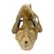 Nasco MG7391 Cat Skull Model - Angle 6