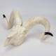 Nasco MG7393 Domestic Sheep Skull Model - Angle 2