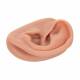 Acupuncture Ear (Left) Model N15/1L