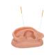 3B Scientific Acupuncture Ear (Left) Model N15/1L (Acupuncture Needles are not included)