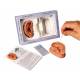Acupuncture Ear Models - Two