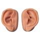 Acupuncture Ear Set for 10 Students