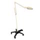 Burton Medical NXFL Nova Exam® LED Mobile Floor Stand Exam Light