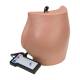 3B Scientific P57 Buttock Injection Simulator