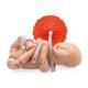 3B Scientific P90B Birthing Simulator Basic - Light Skin Tone, Fetal Position