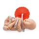 3B Scientific P90P Birthing Simulator PRO - Light Skin Tone, Fetal Model with Articulated Joints