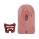 3B Scientific P95 Episiotomy and Suturing Trainer - Light Skin Tone, Front View with Base