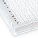 Globe Scientific PCR-384-ABI 384-Well PCR Plate with A24 Single Notch Design - Clear, Close-up View