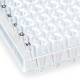 Globe Scientific PCR-HS-02 0.2 mL 96-Well PCR Plate, Half Skirt - Flat Top, Clear, Close-up View