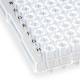 Globe Scientific PCR-HS-FL02 0.2 mL 96-Well PCR Plate, Half Skirt - ABI-Style, Flat Top, Clear, Close-up View