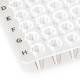 Globe Scientific PCR-NS-01 0.1 mL 96-Well Low Profile PCR Plate, No Skirt - Clear, Close-up View