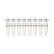 Globe Scientific PCR-STR-02D 0.2 mL 8-Strip PCR Tube with Separate Cap Strip - Dome Cap