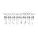 Globe Scientific PCR-STR-02F 0.2 mL 8-Strip PCR Tube with Separate Cap Strip - Flat Cap
