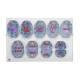 3B Scientific R01-1 Mitosis Model