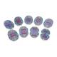 3B Scientific R01-1 Mitosis Model