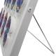 3B Scientific R01-1 Mitosis Model includes an integrated hanging device, allowing it to be mounted on a wall to save space