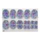 3B Scientific R02/1 Meiosis Model