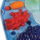 Plant Cell Model - Magnified 500K to 100M Times
