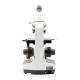 LW Scientific R3M-MN4A-DAL3 Revelation III DIN Microscope, Monocular with Achromatic Objectives - Back View